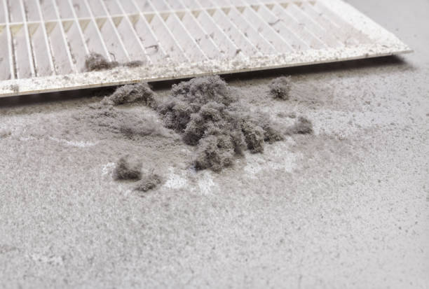 Best Air Duct Cleaning Company Near Me  in Plain City, OH