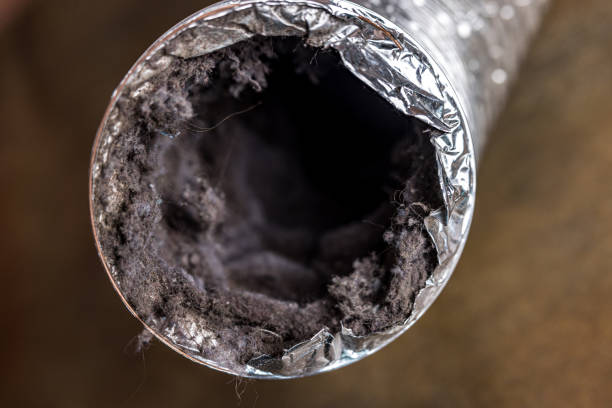 Best Best Air Duct Cleaning Company  in Plain City, OH